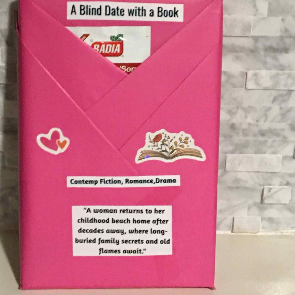 📚 Blind Date With a Book – Mystery Read, Wrapped Surprise, Perfect Gift!